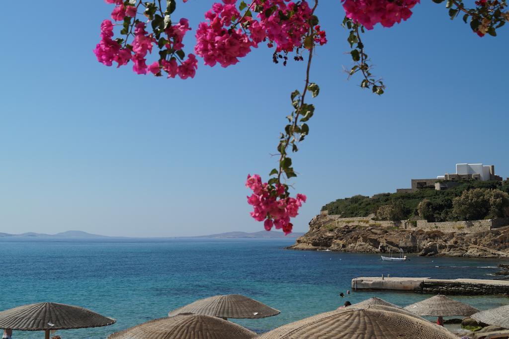 Amazing View Hotel Apartments Agios Stefanos  Bagian luar foto